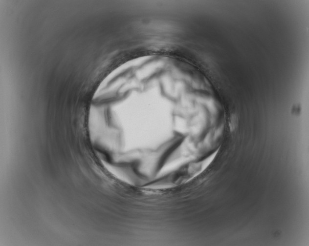 X0000113741396200910211114