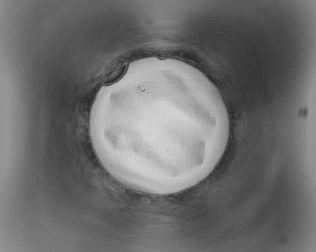 X0000113741397200910211114