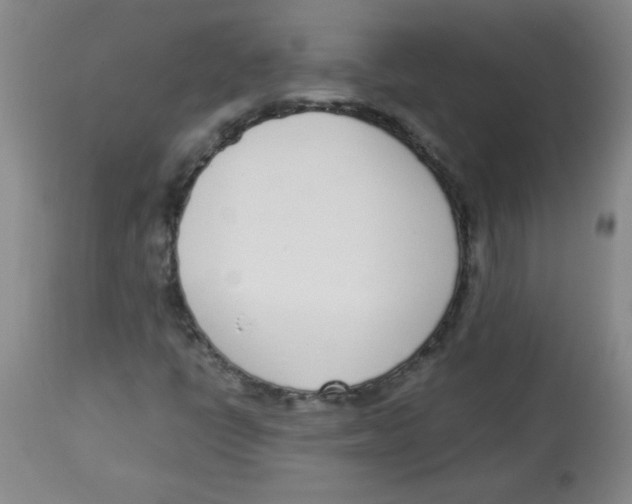 X0000113741398200910211114