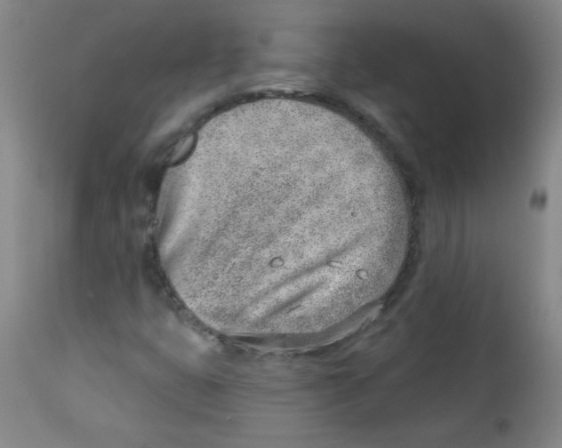 X0000113741399200910211114