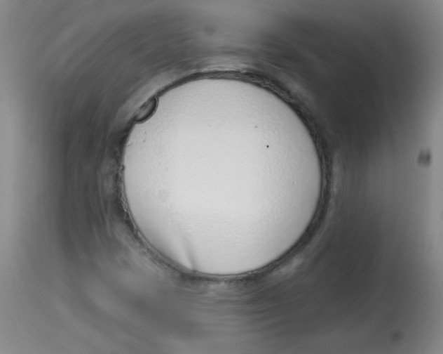 X0000113741401200910211114