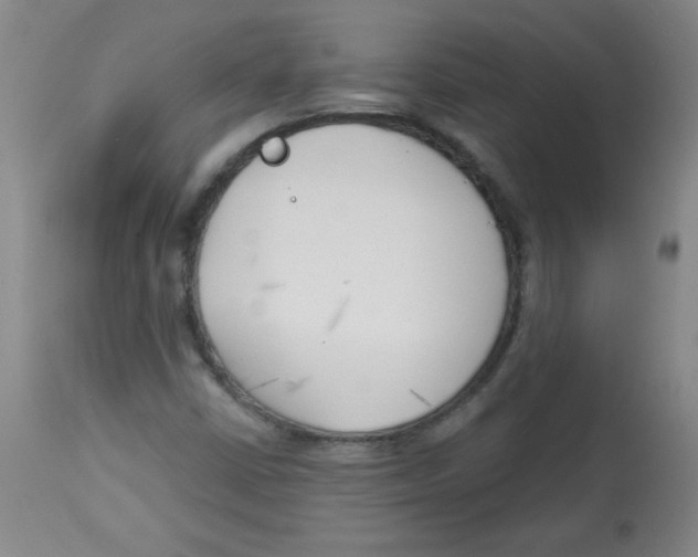 X0000113741402200910211114