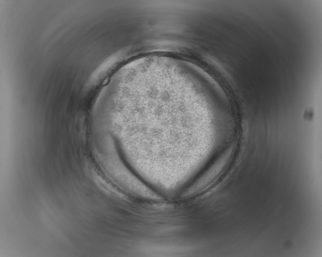 X0000113741403200910211114