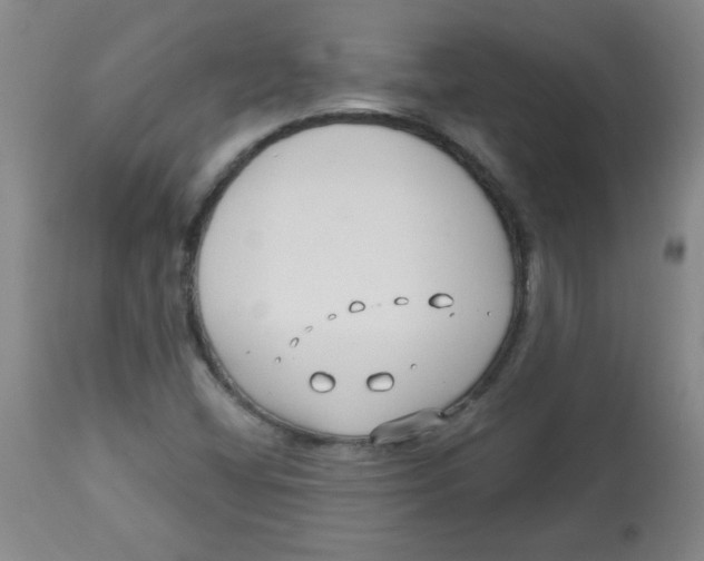 X0000113741404200910211114