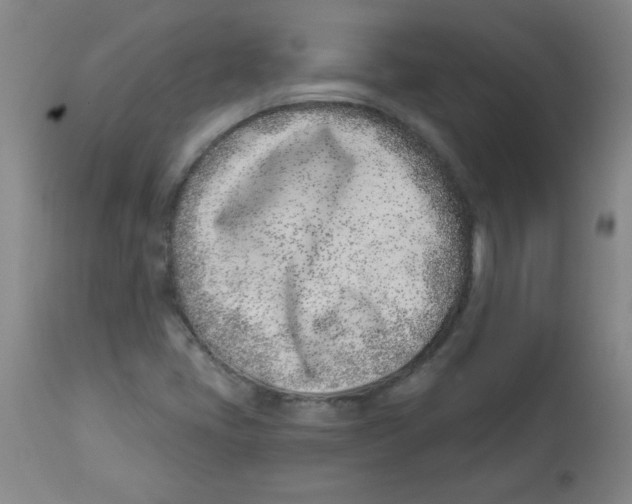 X0000113741405200910211114