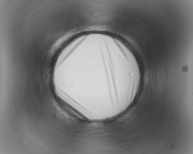 X0000113741406200910211114