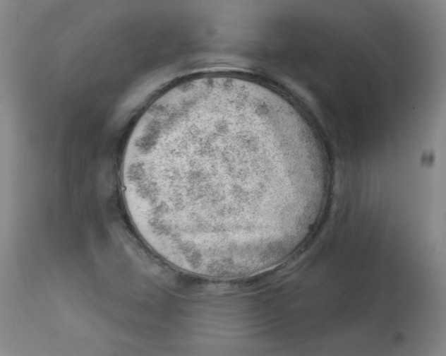 X0000113741407200910211114