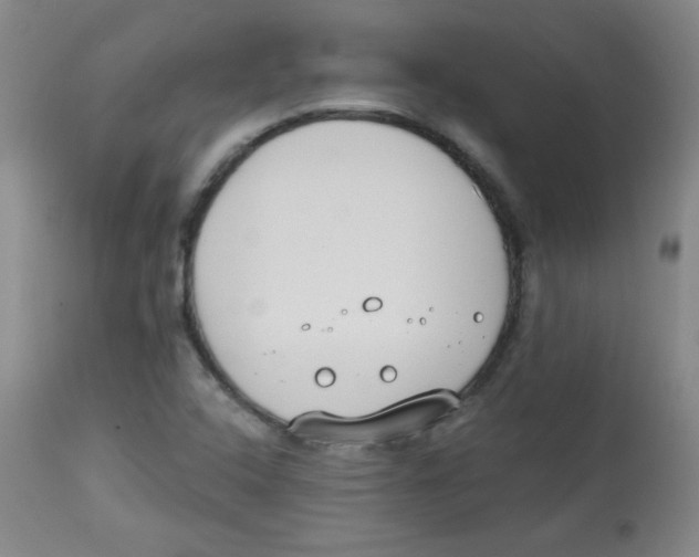 X0000113741408200910211114