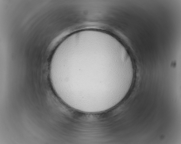 X0000113741411200910211114