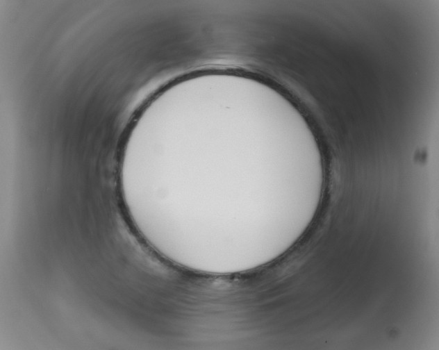 X0000113741412200910211114