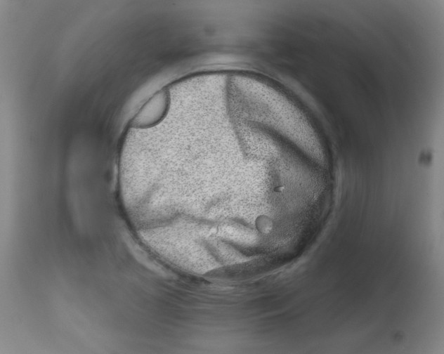 X0000113741413200910211114