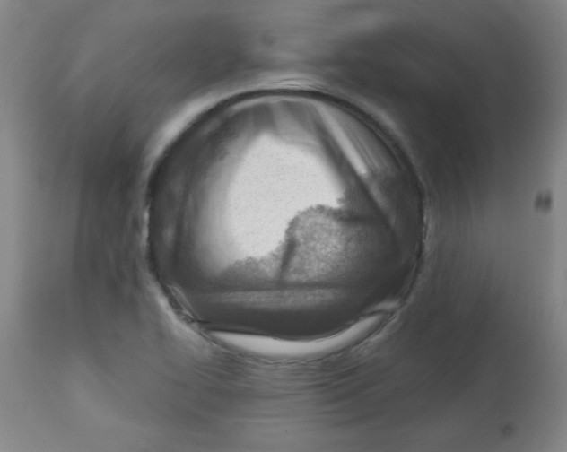 X0000113741414200910211114