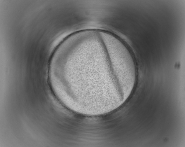 X0000113741415200910211114