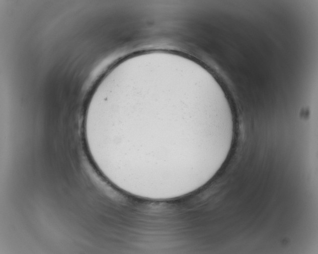 X0000113741416200910211114