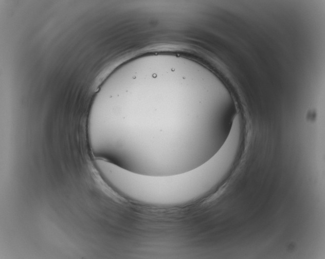 X0000113741417200910211114