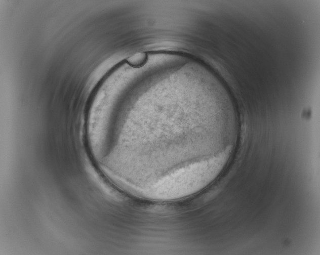 X0000113741418200910211114