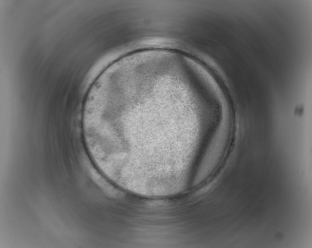 X0000113741421200910211114