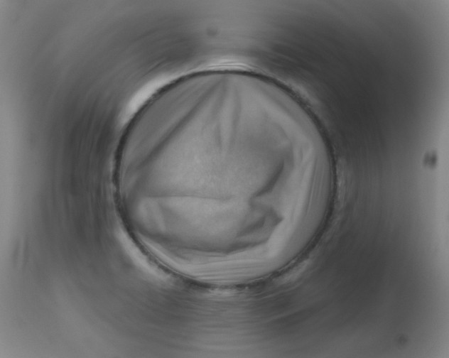 X0000113741422200910211114