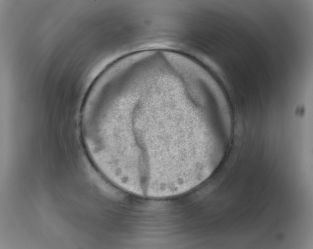 X0000113741423200910211114