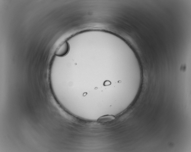 X0000113741424200910211114