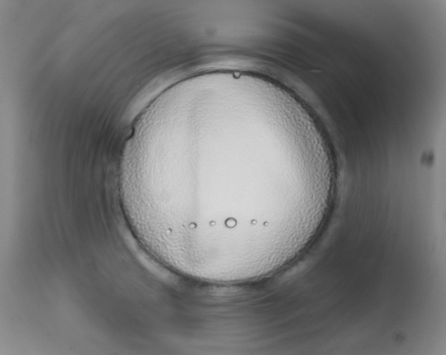 X0000113741425200910211114