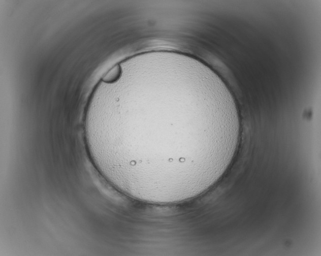 X0000113741427200910211115