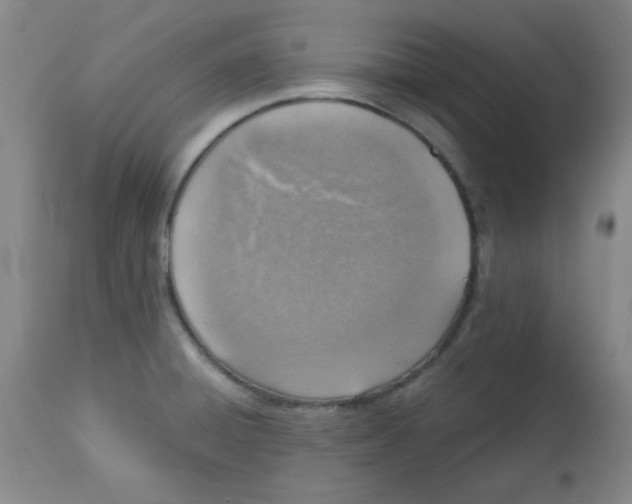 X0000113741428200910211115