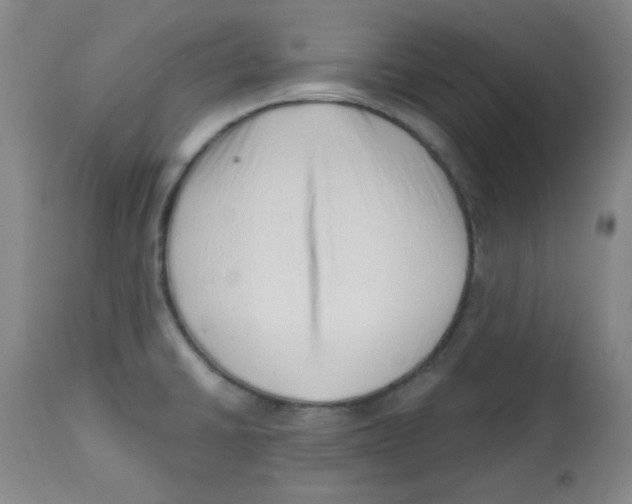 X0000113741430200910211115