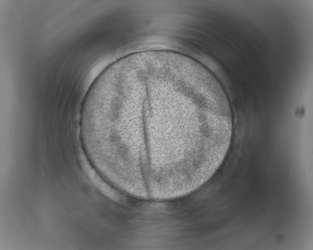 X0000113741431200910211115