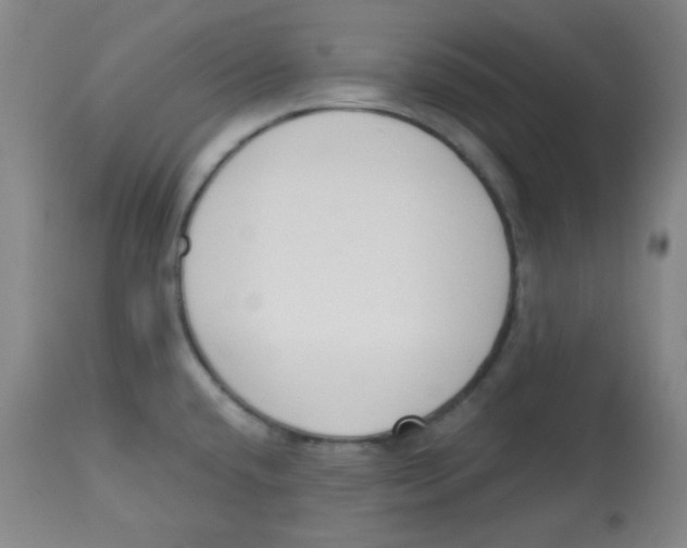 X0000113741432200910211115