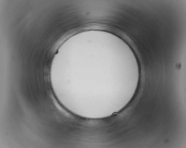 X0000113741433200910211115