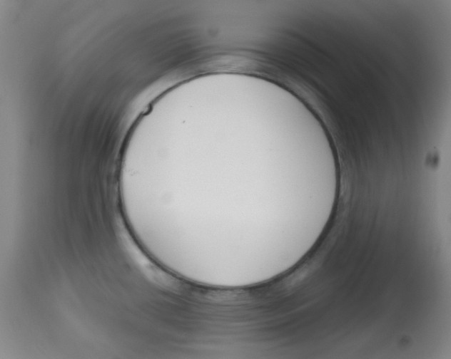 X0000113741434200910211115