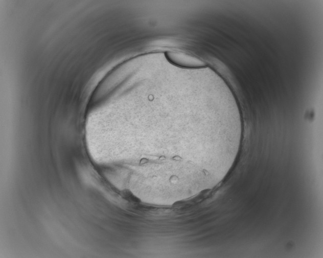 X0000113741435200910211115