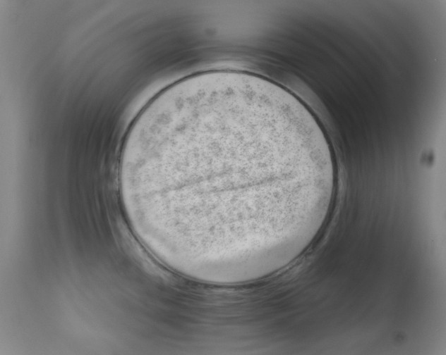 X0000113741436200910211115