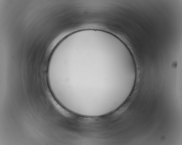 X0000113741438200910211115