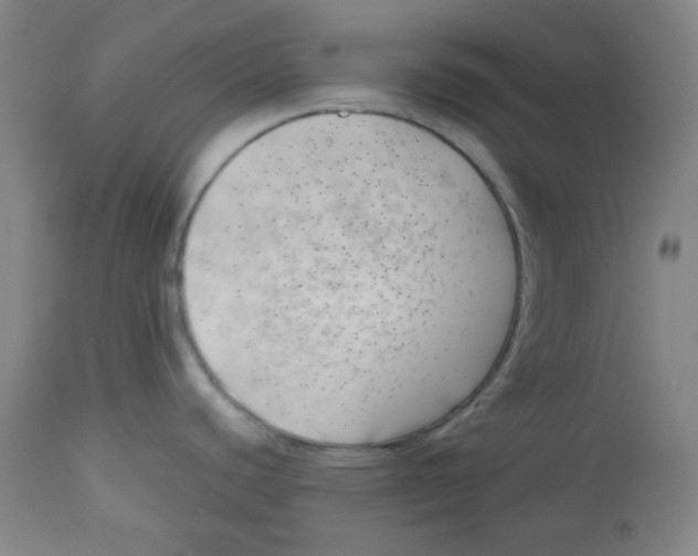 X0000113741440200910211115