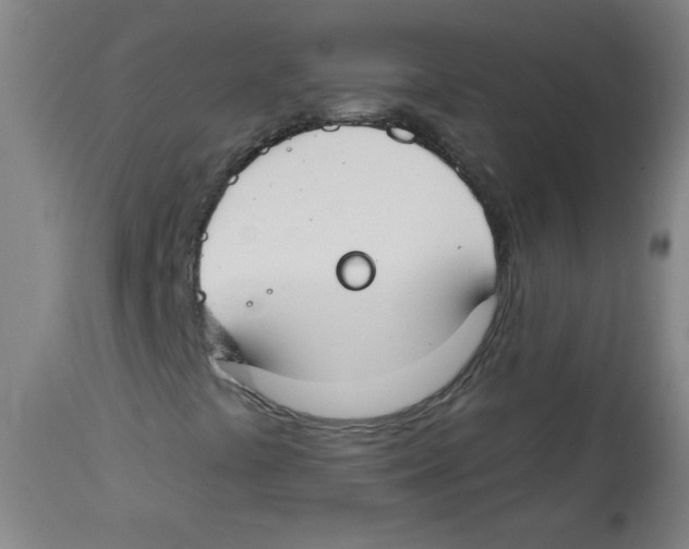 X0000113741441200910211114