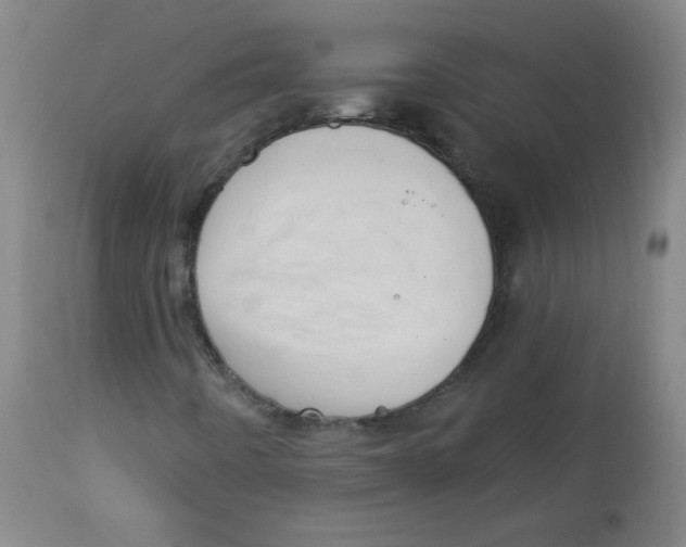 X0000113741442200910211114