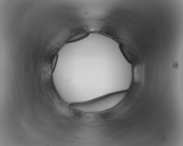 X0000113741443200910211114