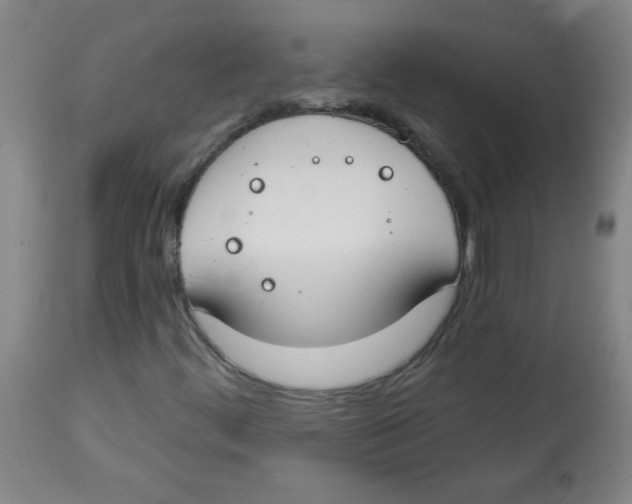 X0000113741444200910211114