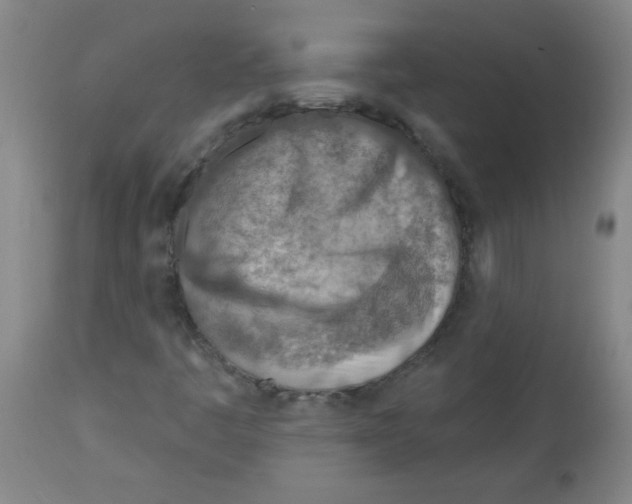 X0000113741445200910211114