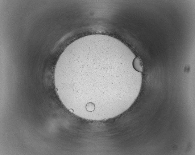 X0000113741446200910211114