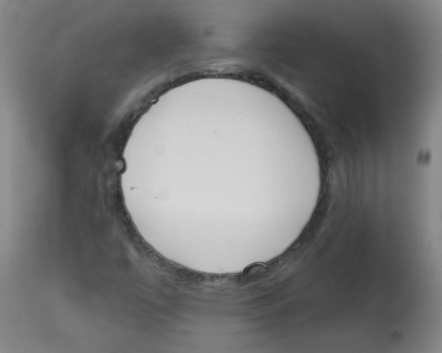 X0000113741447200910211114