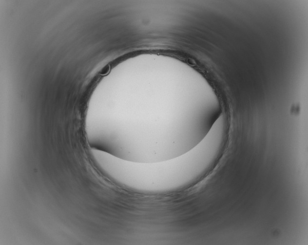 X0000113741449200910211114