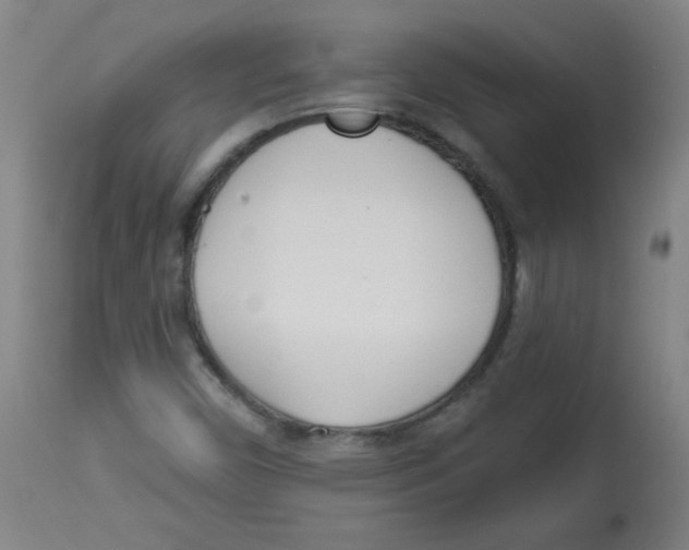 X0000113741450200910211114