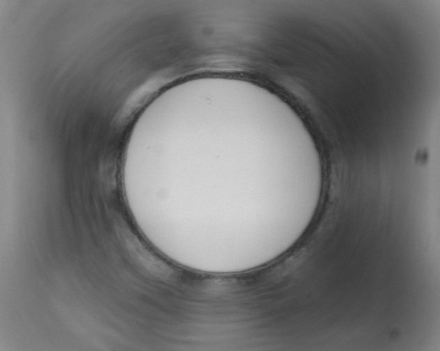 X0000113741451200910211114