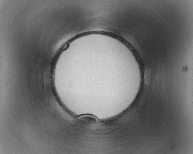 X0000113741452200910211114