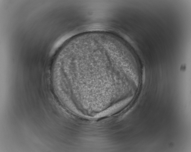 X0000113741453200910211114