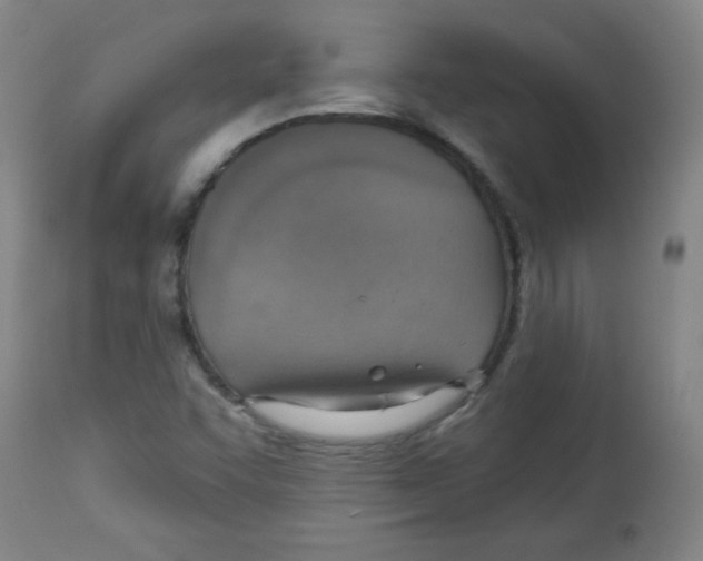 X0000113741455200910211114