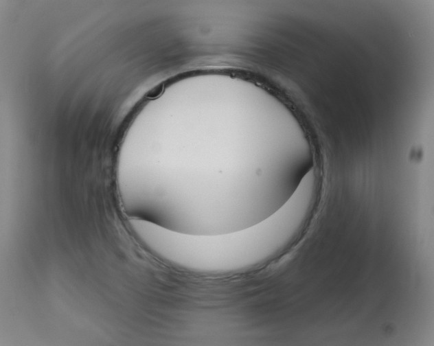 X0000113741457200910211114